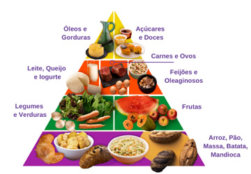 Read more about the article O que é alimentação saudável?